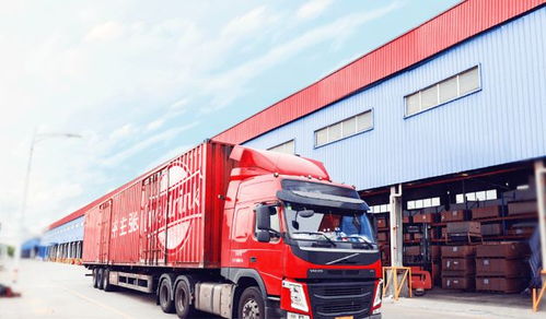 茶主张启动“筑堤计划” 以品质与服务为基石，持续提升品牌形象，引领日用品销售新风尚